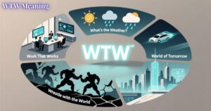 WTW Meaning