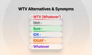 WTV Alternatives & Synonyms