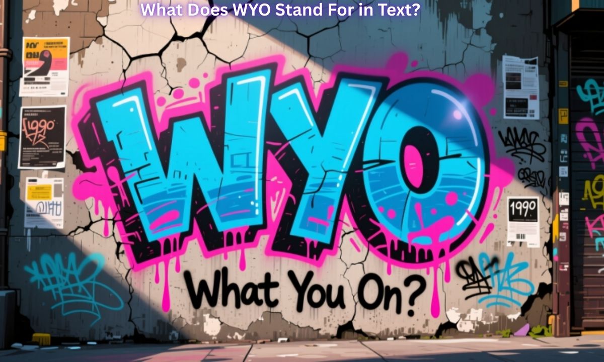 What Does WYO Stand For in Text What You On